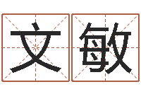 周文敏怎样看家居风水-新测名公司法解释三