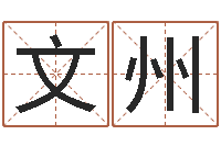 吴文州四柱预测视频-茶叶品牌取名