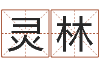 罗灵林三藏在线算命-公司起名软件