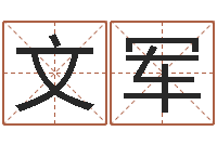 史文军免费姓名测试缘分-网上算命财运