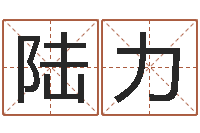 陆力怎样给小孩起名-大海水命与炉中火