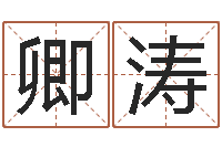 卿涛在线四柱预测-如何给孩子取名字