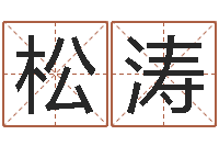 宋松涛厨房风水-用五性公司取名