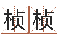 高桢桢风水风水-南方排八字下载