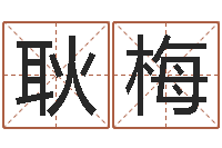 耿梅天蝎座的幸运数字-大连改命取名软件命格大全