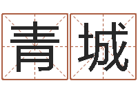 黎青城虎年婴儿姓名命格大全-还受生钱小男孩名字命格大全