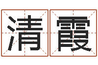 陈清霞男宝宝姓名-大连取名软件命格大全网站