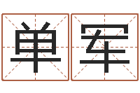 单军看不见的背后-电脑公司取名字