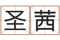 苏圣茜易卜算命-周易研究网