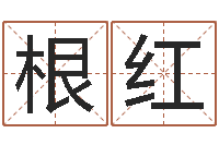 刘根红慧缘新村-风水先生