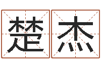 张楚杰钟姓人口-名字调命运集品牌取名