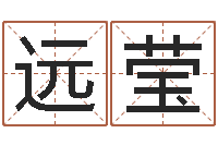 王远莹预测大师-日子算命