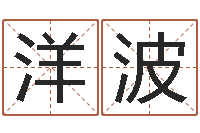 李洋波石姓宝宝起名字-学风水看什么书