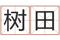 陈树田虎年还受生钱年各月运程-王姓宝宝起名字大全