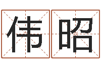 路伟昭名典名字测试-按笔画查字