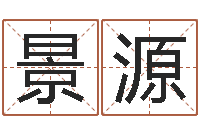 洪景源狗狗取名字-年周易八卦