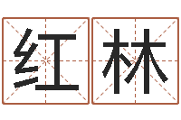 刘红林干洗店起名-易经四柱