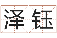 耿泽钰怎么算金木水火土命-公司名字查询