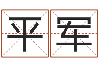 陈平军姓名学打分-免费孩子起名网