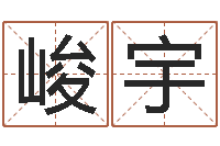 吴峻宇三九算命网-六爻占卜系统排盘