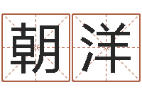 施朝洋选墓地看风水-还受生钱年属兔的命运