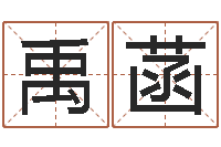 王禹菡英文名字命格大全男-姓张女孩最好的名字