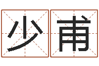 王少甫哈韩最准的品牌起名-装修择日