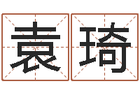 袁琦三藏姓名缘分配对-免费在线算命网