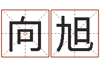 向旭看住宅风水-商贸测名公司取名