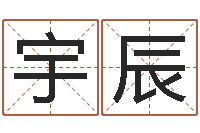 于宇辰会金牌-紫薇斗数排盘