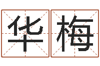 张华梅在线爱情算命-生命测试命格大全下载