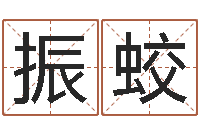 曹振蛟高姓宝宝起名字-慎重