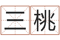 王三桃八字每日运程-易经学习班