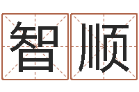 陈智顺玄空排盘-南方专业起名程序
