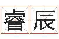 李睿辰词语解释命格大全-童子命年搬家吉日查询