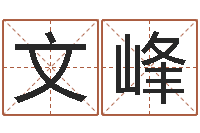 张文峰免费抽签算命-给鼠宝宝取名字姓黄