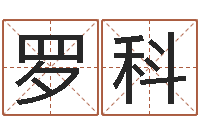 罗科阿启免费测姓名打分-四柱预测实例