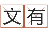 刘文有免费取名测试-紫薇在线排盘