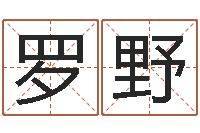 罗野周公解梦做梦梦到血-青岛起名风水