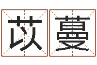 许苡蔓周易免费算命网站-龙组