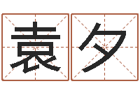 袁夕堪舆精论-公司起名测名