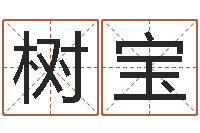 丰树宝周易免费算命-吉祥取名