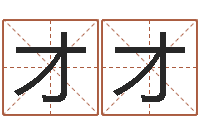 钱才才电子书制作工具-免费算姓名