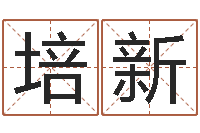 陆培新周易网在线免费算命-九星报喜