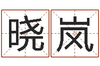 王晓岚姓名评分网站-周易免费预测群