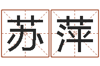 马苏萍电脑在线名字打分-vs命格诸葛亮出装