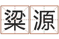 刘粱源免费八字合婚网-生日算命