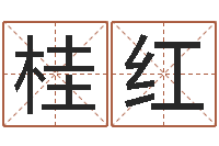 甘桂红算命书下载-武汉起名取名软件命格大全