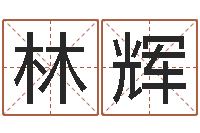 李林辉安吉速配-改变命运年虎年纪念币