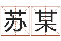 苏某帮宝宝取个名字-测名公司起名字库命格大全